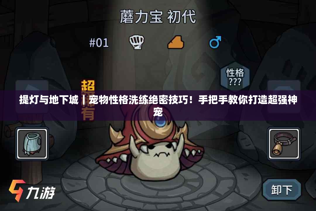 提灯与地下城｜宠物性格洗练绝密技巧！手把手教你打造超强神宠